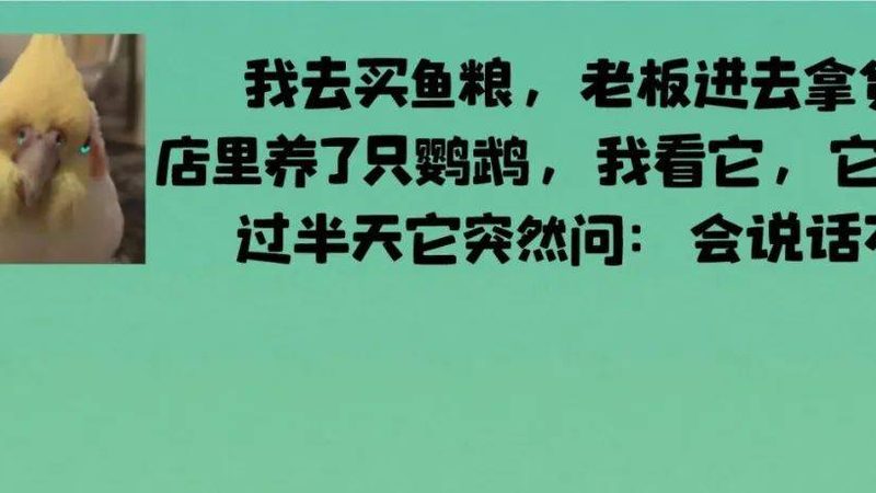 蛋糕原料价格之谜：揭秘影响价格的关键因素**