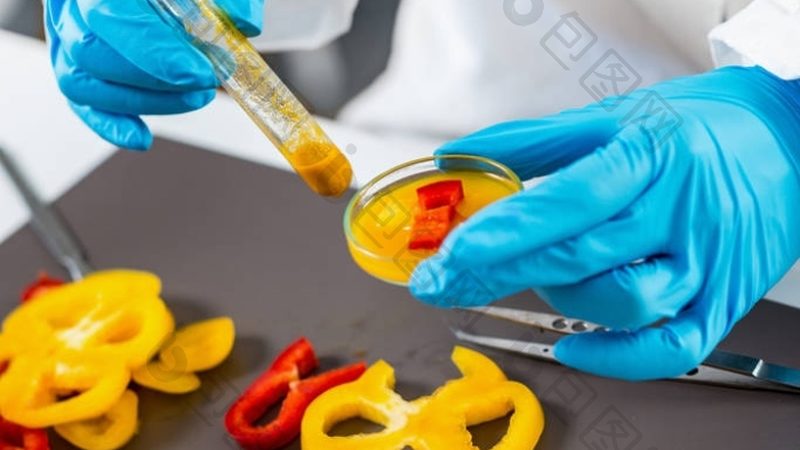 成都膨化食品代理：如何选择更专业可靠的合作伙伴**